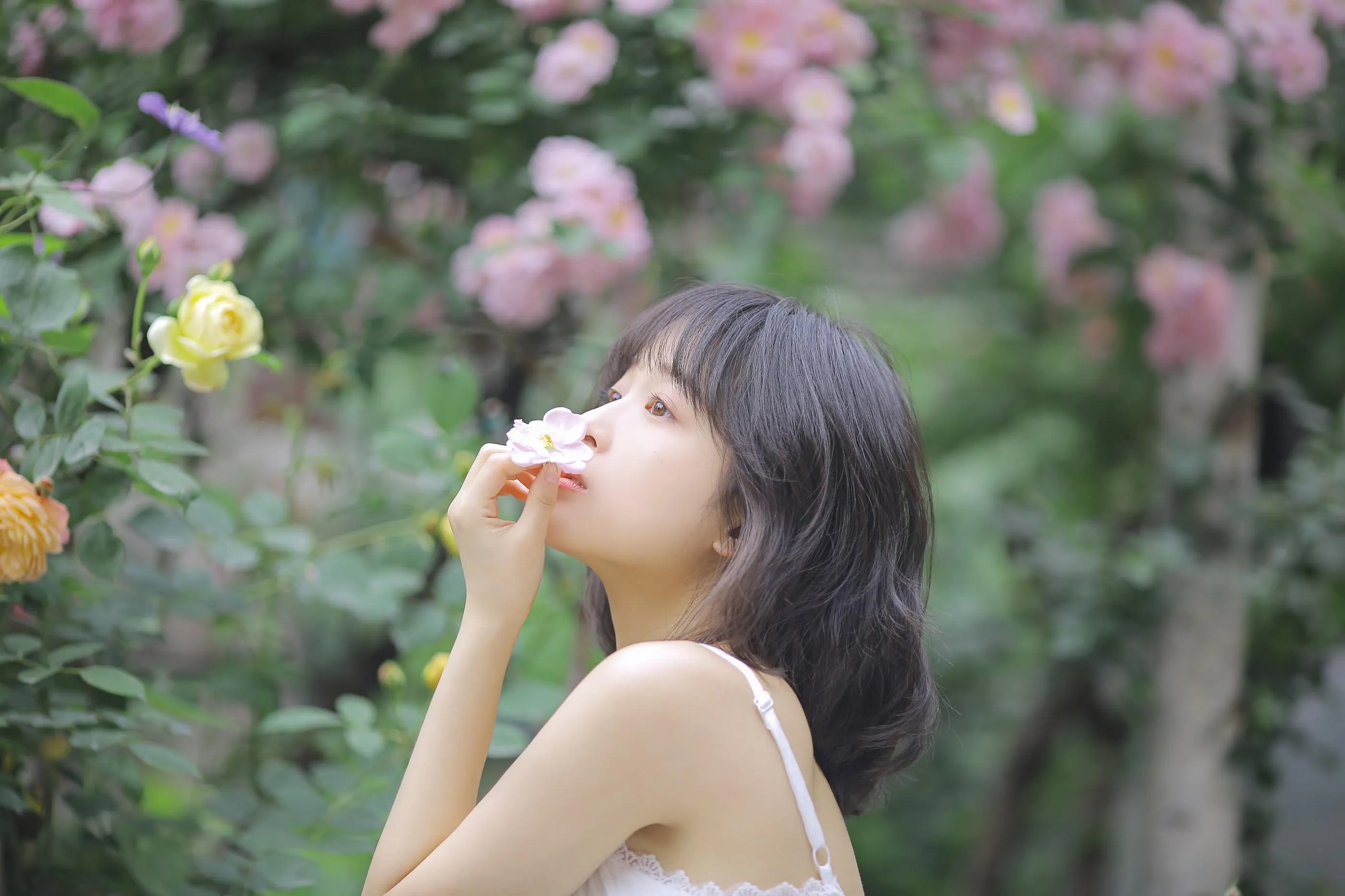 [YITUYU艺图语]2022.08.17 花期已致 美好如初 甜酒八號 [30P]插图6